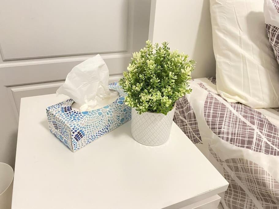 Beautiful Walk Out Basement Apartment In Pickering Near Beach 외부 사진