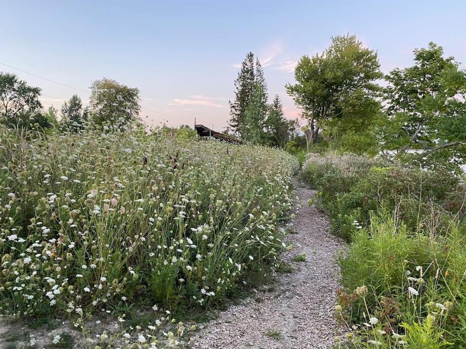 Beautiful Walk Out Basement Apartment In Pickering Near Beach 외부 사진