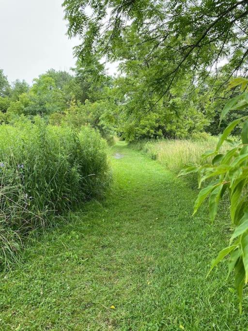 Beautiful Walk Out Basement Apartment In Pickering Near Beach 외부 사진